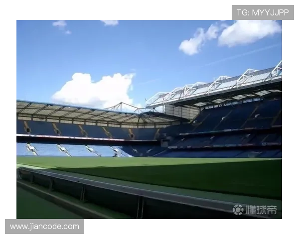 沃特福德俱乐部:英格兰足坛新军,展望未来 沃特福德俱乐部:英格兰足坛新军,展望未来