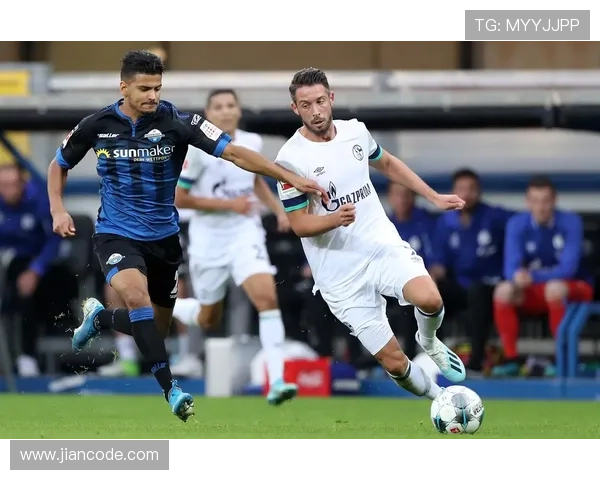 深度解析德国足球甲级联赛格局与豪门争锋下的新生力量崛起之路